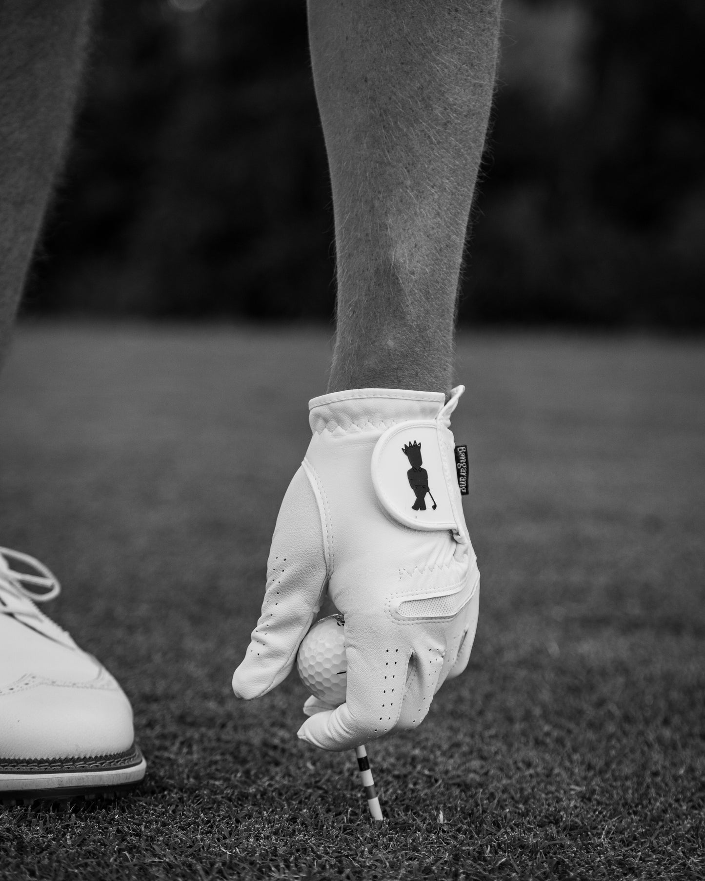 Bangarang PremiumPro Glove